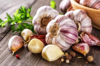 Fresh garlic – product photo, Fresh Black Garlic products found from trusted suppliers, wholesalers, manufacturers & exporters Listing
