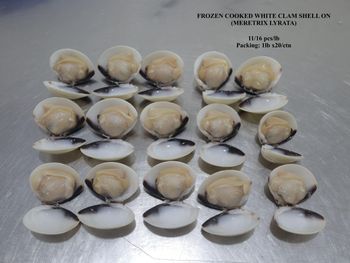 FROZEN COOKED WHITE CLAM SHELL ON Origin Vietnam Catching Method Wild Caught - Fao 71 Packing Iqf (1lb Plain Bag Vacuum With Rider X 20/flexo - Ben Tre Seafood Joint Stock Company - Vietnam