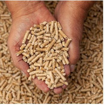 Durable biomass wood pellets offered in export grade for global heating and power supply - Leta Trading sprl - Poland