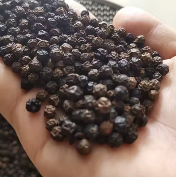 Black Pepper – product photo, Refined Black Pepper products found from trusted suppliers, wholesalers, manufacturers & exporters Listing