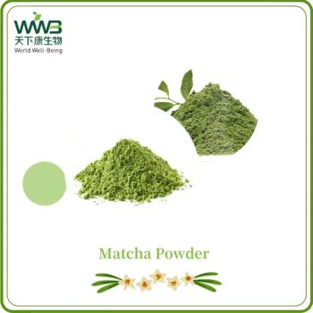 100% Matcha Green Tea Powder/Matcha Tea Powder for Drinking, Cold Drink, Bakery and Ice Cream/Matcha Powder - Hunan World Well-Being Bio-Tech Co., Ltd. - China