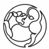 Product - PERSEPOLI SRL - Italy