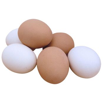 Organic Farm Raised Fresh Table Eggs Packed In Hygienic Trays For Overseas Import Buyers And Fresh Food Suppliers from malter group Organic Farm Raised Fresh Table Eggs Packed In Hygienic Trays For Overseas Import Buyers And Fresh Food Suppliers - malter group - Tanzania