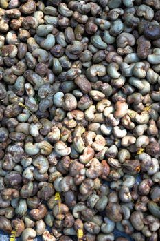 Raw cashew nuts from Ghana Grade 1 Origin Ghana Packaging Sacks Features Organic Product Type Nuts Shelf Life 12 months Max. Moisture (%) 8% - HASRAH YAM & VEGETABLES ENTERPRISE - Ghana