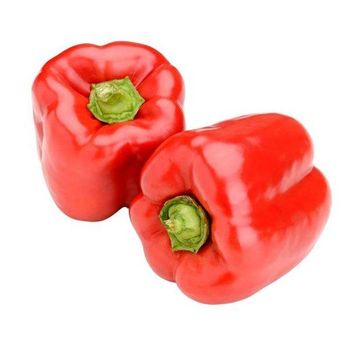 Sliced Chunk Diced Block Cubes Cuts Strip Stick Freeze Freezing Capsicum - MFD AGRICULTURE LTD - United Kingdom
