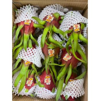 Export Standard Bulk Fresh Dragon Fruit Natural Sweet Taste Red and White Tropical Fruit 380-780g Agriculture Grade – product photo, Sweet White Wine products found from trusted suppliers, wholesalers, manufacturers & exporters Listing