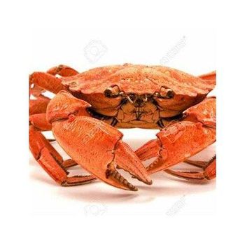 Live Red King Crab wholesale bulk supply cheap price top grade seafood - Medcompex Gmbh - United Kingdom