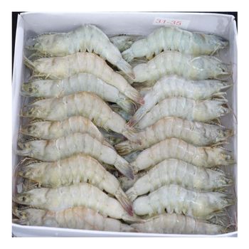 Vannamei Shrimp Price Prawn Wholesale Frozen Vannamei Shrimp Grade A Texture Natural Max. Moisture (%) 5 Type frozen shrimps -  CALIPSO POLSKA SP Z OO  - Poland