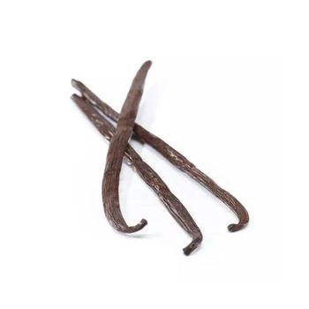 Vanilla Beans bulk supply wholesale price premium quality fast delivery reliable stock - Leta Trading sprl - Poland