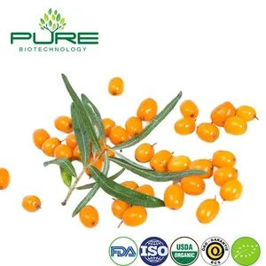 Wholesale Best Price Natural Essential Oil Sea Buckthorn Oil Pure - Ningxia Pure Goji Biology Technology Co., Ltd. - China