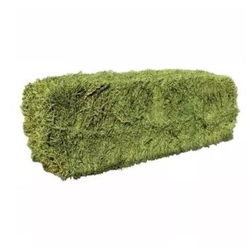 Wholesale alfalfa hay maintained for continuous supply and cost efficient trade – product photo, Alfalfa Hay Granules products found from trusted suppliers, wholesalers, manufacturers & exporters Listing