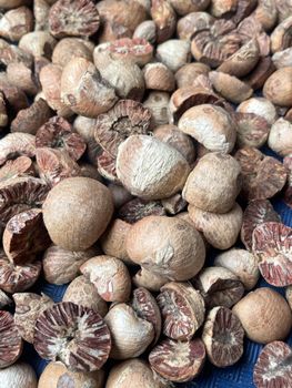 BETEL NUT SPLIT ARECA NUT – product photo, Chia Seed Extract products found from trusted suppliers, wholesalers, manufacturers & exporters Listing
