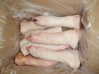 Frozen Pork Suppliers in Belgium | Wholesale Pork Cuts Exporter – Van Hoornweder Marcel & ZN NV - Van Hoornweder Marcel & ZN NV - France