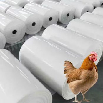 Eco-Friendly Durable Industrial PVC Coated Fabric Manure Cleaning Belt - Hubei Jinlong New Materials Company Limited by Shares - China