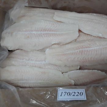 Pangasius Fillet (Net 40%) - BF GLOBAL TRADING (PTY) LTD - South Africa