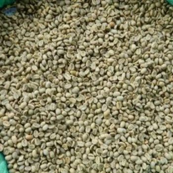 Coffee Arabica - Njang Investments Limited - Kenya