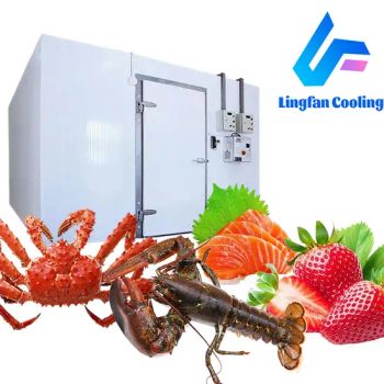 New Style Sliding Swing Traffic Doors Cold Room with Compressor Refrigeraton Unit - SHANDONG LINGFAN TECHNOLOGY CO., LTD. - China