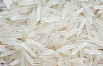 Premium Basmati Rice – Long Grain Aromatic Excellence from India from AGROCARTE EXIM ENTERPRISES PVT LTD Premium Basmati Rice – Long Grain Aromatic Excellence from India - AGROCARTE EXIM ENTERPRISES PVT LTD - India
