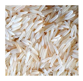 Parmal Pr-11 Sella Non-Basmati Rice Best Quality High Selling Non Basmati Rice Wholesale Offer Price - SDG LOGISTICS PARK LIMITED - India