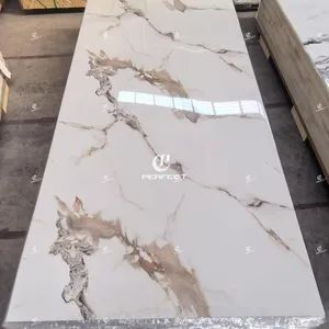 Durable 3D Panel with Marble Effect for Home Decor - Linyi Perfect New Material Co., Ltd - China