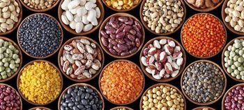 Product – product photo, Whole Pinto Beans products found from trusted suppliers, wholesalers, manufacturers & exporters Listing