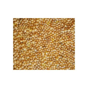 Bulk yellow millet available for wholesale purchase by food and feed manufacturers - AFRIVET TRADING SERVICES - South Africa
