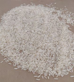 IR64 -5% BROKEN RICE - Sai Kripa Enterprise - India