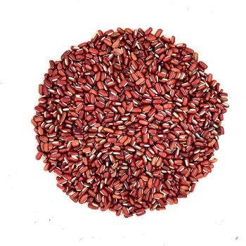 Premium Red Kidney Beans For Export Supply With Clean Dried Food Quality Sorted Packing For Importers - malter group - Tanzania