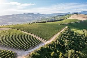 Product from PASQUA VIGNETI E CANTINE S.P.A. Product – product photo, White Sparkling Wine products found from trusted suppliers, wholesalers, manufacturers & exporters Listing