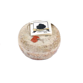 Zarpellon Brand 14C348ST Chilled Fermented 1.5Kg Truffle Pecorino Semi Hard Cheese For Pizza - ZARPELLON - S.P.A. - Italy