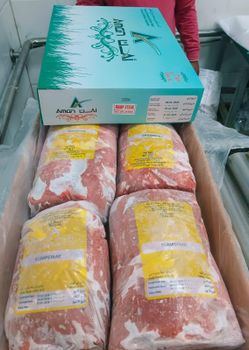 FROZEN BONELESS BUFFLO MEAT - GOLDEN AGRI TRADING - India