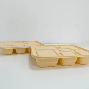 Disposable Biodegradable Lunch Boxes - Ideal for Office and School - The TNN Development Limited China - China