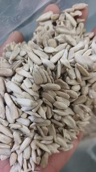 Sunflower seed kernels from Crownfoods General Trading co LLC Sunflower seed kernels - Crownfoods General Trading co LLC - United Arab Emirates