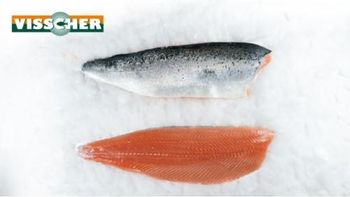 Atlantic Salmon fillet - VISSCHER SEAFOOD B.V. - Netherlands