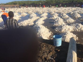 Pure Sea salt - Muzzo Sea Salt Harvest - Tanzania