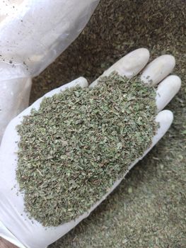 pepper mintt Grade 1 Botanical Name Menta Piperita Article Name Peppermint Leaves Cutting Size Tea Bag Cut Leaves Color Dark Green To Greyish Green - Elite Pro - Egypt