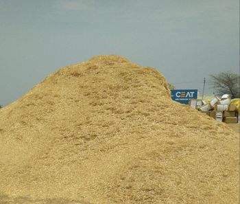 Cow dung products fertilizer wheat straw Minimum Order Quantity 1000 - Rishi enterprises - India