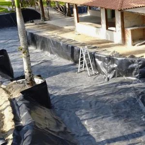 UV-Resistant Excellent Impermeability HDPE/LDPE Geomembrane for Tunnel Waterproofing - Taian Wdf Polymer Composites Co., Ltd. - China