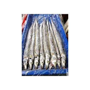 Wholesale Frozen Ribbon fish bulk supply affordable price fresh catch - BMU TRADING GMBH - Germany