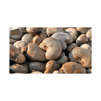 Natural Raw Cashew Nut Prices for Exports - GIFEX AGRO TANANZIA LIMITED - Tanzania