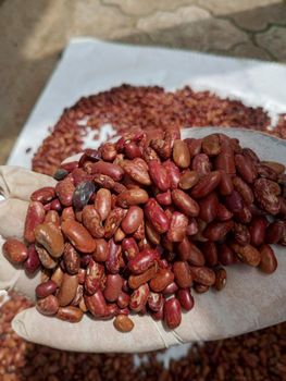 Pinto Beans - Lawana and Sons Supplies - South Africa