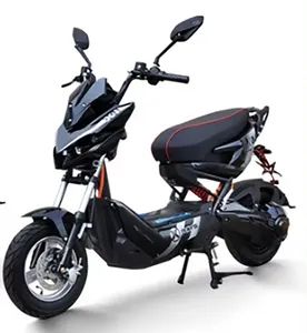 48V 800W Kids License Plate Price Wide Tire Rear Suspension for Mini Moto Parts Tricycle Moto Taxi Kit Hub Motor Children Kids Bike Fast Charging Battery Electr - Hangzhou Longwin Industry Limited - China