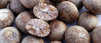 Premium Indonesian Betel Nut from Lana Terra Premium Indonesian Betel Nut – product photo, Frozen Betel Nut products found from trusted suppliers, wholesalers, manufacturers & exporters Listing