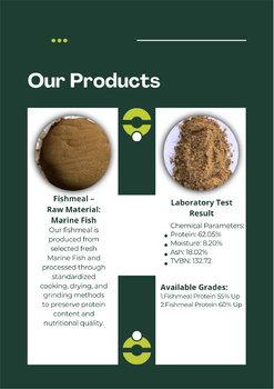 Fishmeal 55 and 60 - PT Modern Nature Agromaritim Indonesia - Indonesia