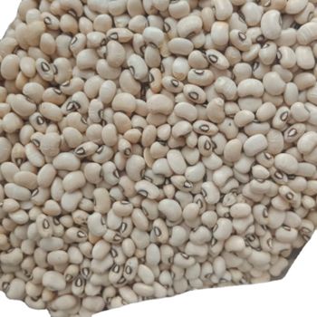 Natural Dry Light Beans Good Price Product Bulk White Brown Kidney Bean for food Brazil Origin Chawali Highest quality - UNIPHOS INTERNATIONAL LIMITED - India