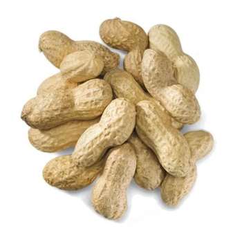 Indian Origin Raw Shelled Peanuts Wholesale Price Indian Origin Raw Groundnut Inshell Sortex Quality Peanut - GAJERA EXPORT - India