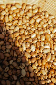 Broad Bean from Bourbon Origin Broad Bean - Bourbon Origin - Madagascar