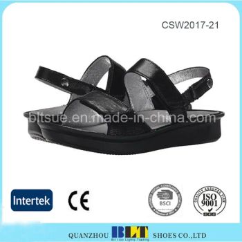 Leather Upper Alegria Dansko Clogs Shoes for Women MOQ 50 Toe Round Ship by Sea Trademark BLT Season Summer Gender - QUANZHOU JINJIANG NEW BLT SHOES CO.,LTD - China