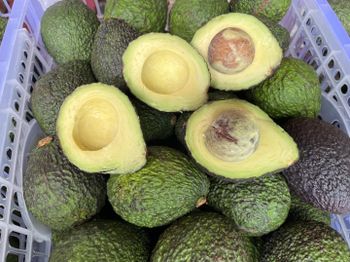 Fresh Avocado Hass Avocado Fuerte Avocado Premium Quality Ripe Green Fruit For Sale Fresh Produce - EAST LAND PROPERTIES - Tanzania