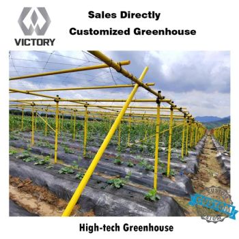 Customized Thermal Insulation Snow Load Capacity Durability Heating Systems Greenhouse - Tangshan Victory Trading Co., Ltd - China